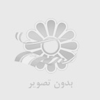 تأثیر نوسانات ارزی بر قیمت دیزل ژنراتورها